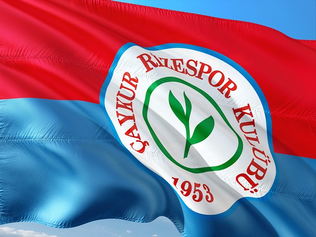 西海岸总经理：杨智、刘健、毛雷尔等人将跟随邵佳一加入国足