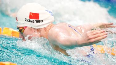 张伯霖谈摇篮舞庆祝：是庆祝我家两只小狗出生